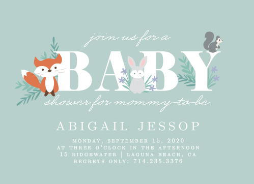 Online Baby Shower Invitations Match Your Color Style Free