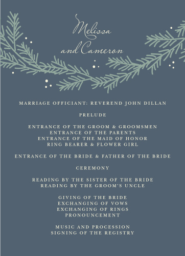 wedding programs match your colors style free basic invite
