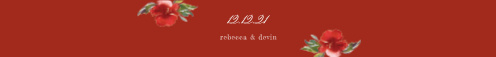 christmas wedding invitations match