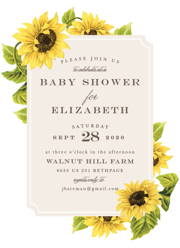 Baby Shower Invitations Templates Match Your Color Style Free