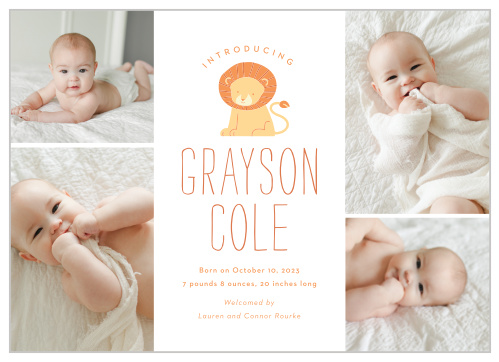 Lions and Babies and Announcements, OH MY! Customize the colors fonts and information in order to make this card truly one of a kind! Have some fun with it!!