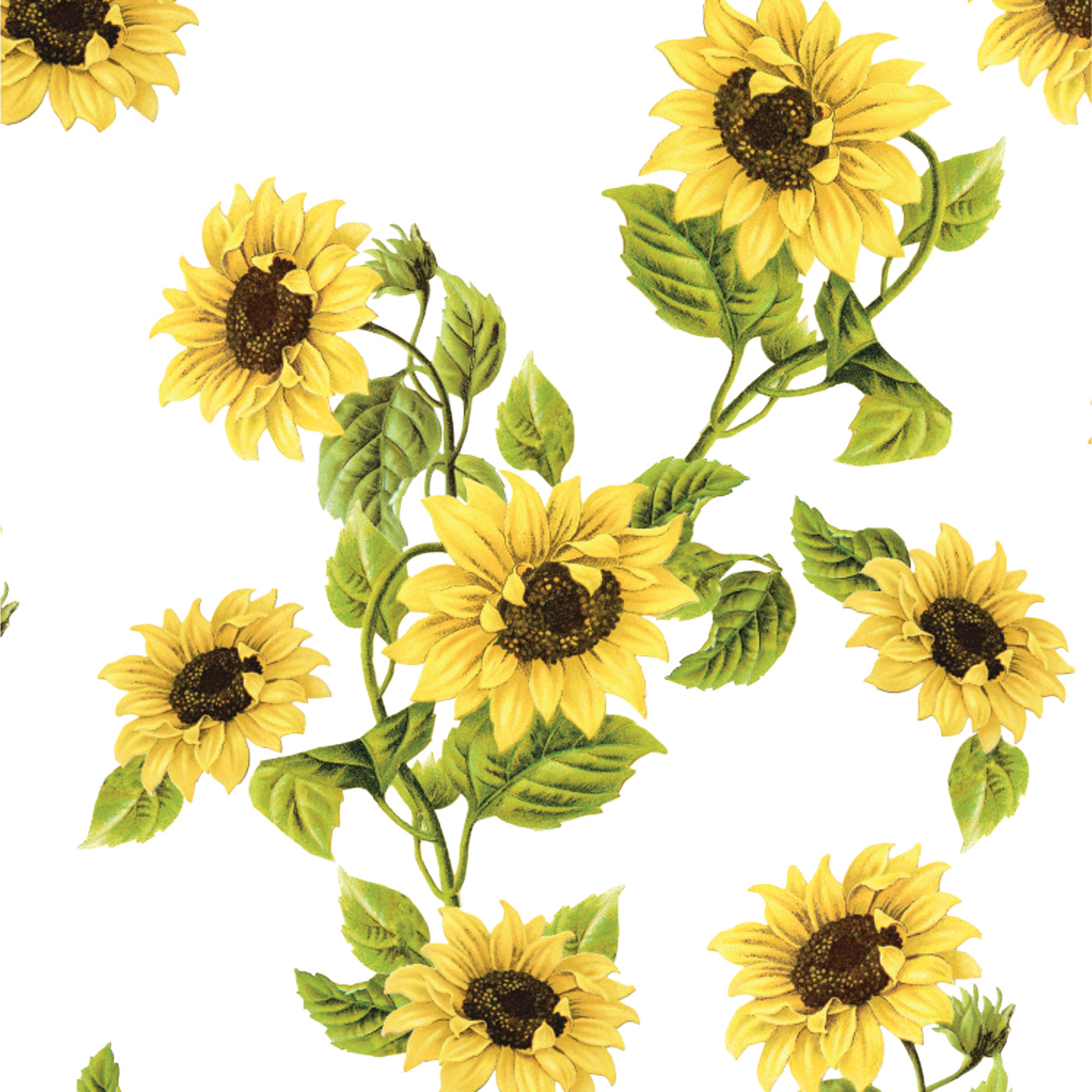 Classic Sunflowers Peel And Stick Removable Wallpaper | Love vs. Design