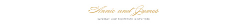 Wedding Invitation Belly Bands By Basic Invite