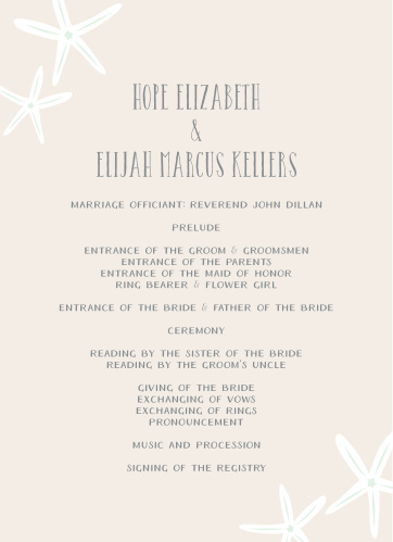 wedding programs match your colors style free basic invite