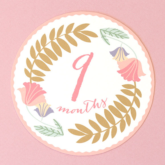 Monthly Baby Stickers Girl Printable By Basic Invite